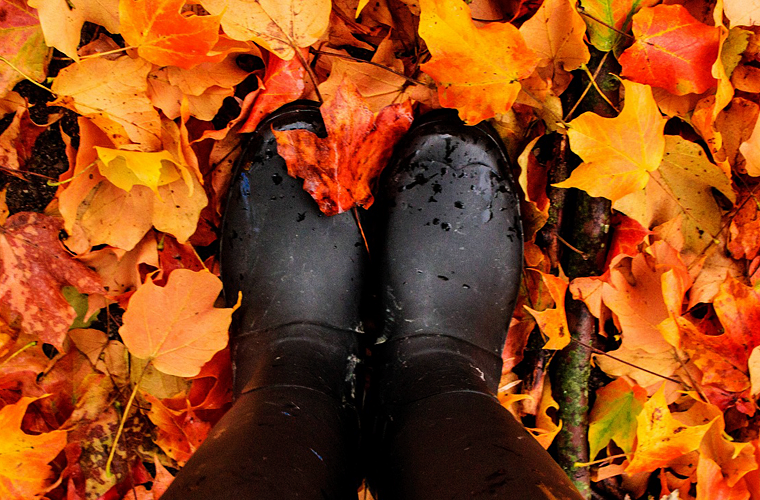 Schicke, nachhaltige Schuhe für den Herbst