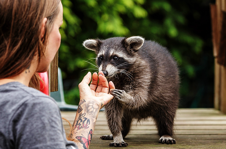 Interview mit Tierrechtsaktivistin Sandy P. Peng